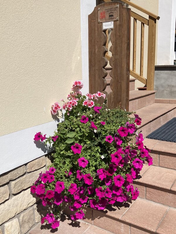 affiliato APT e CIPAT_IMG_2739